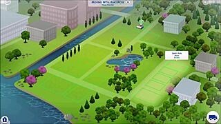 what's the voodoo that ravens do?