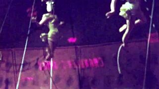 Exploring a classic vintage erotic illustration