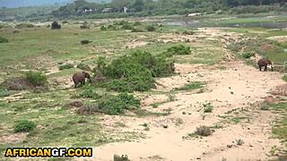 Bratty African Hottie POV Pussy Wrecked By White Boyfriend In The Park