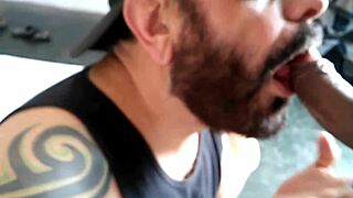 Harvesting that sweet male nectar!