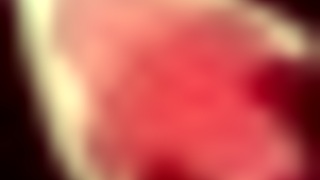 honeysun hgame walkthrough guide