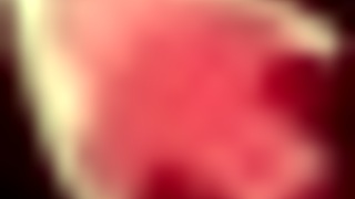 honeysun hgame walkthrough guide