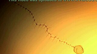 Naruto and Sakura Team Up