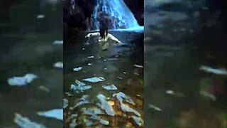 Curvy Latina Gives Hard Blowjob and Rides Wild