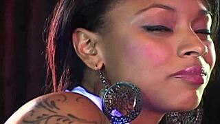 purple blossom introduction