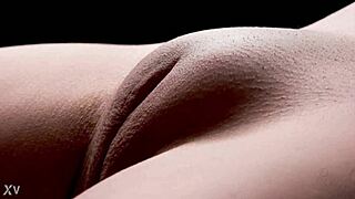 Close Up Pussy Views