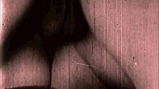 Vintage Erotic Art Collection