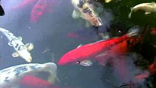 True College Girls Volume 8 Scene 1