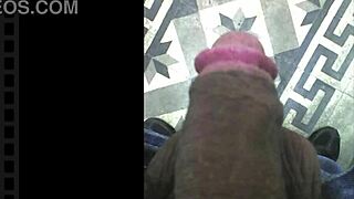 Have you seen Jade's husband catching her flashing?