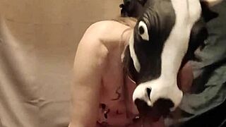 I humiliated my housewife slave with anal toys