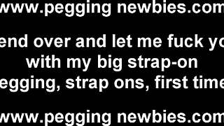 Hey, ready to be dominated with my strapon cock in your place?