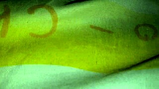 Faltamos a la universidad por culear