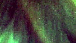 trimmed video file from the collection