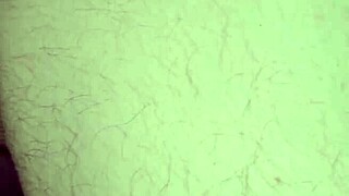 The milf sucks and licks my asshole eagerly.