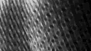 i love gretala's foot fetish, tits n ass so much