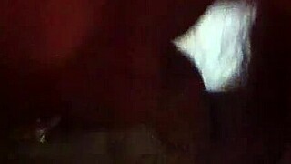 trimmed video file from the collection