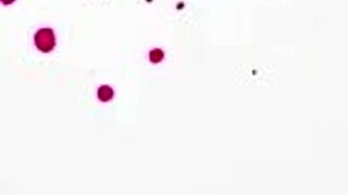 rekonfiguration - capitulo 3 - aprender a soltar