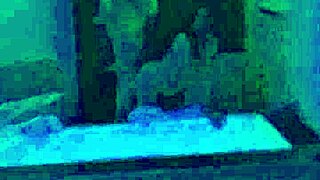 Hot Latina Wife Rides Hard in Hotel