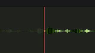 Incredible Neighbor Audio!