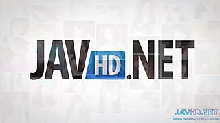 Japanese Girls Show Off Hairy Bushes in Compilation