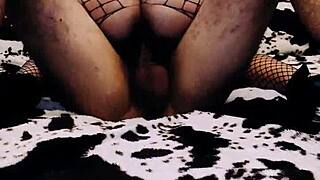 Compilation of sex of couples at their homes