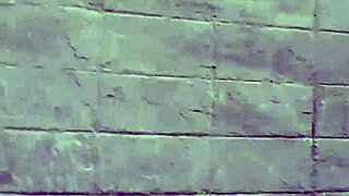 casal alexander does interracial sex with big cock on video call