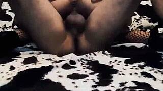 Wife performs cowgirl in mesh bodysuit