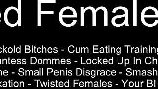 i'll put a collar on you like a pet 😈