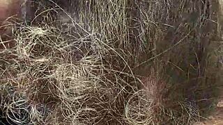 i love outdoor blowjob so much