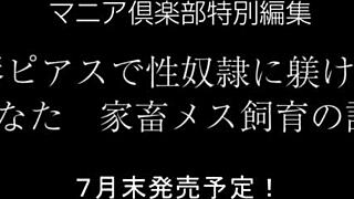 Japanese Slave Hinata Bound in Wild Action!