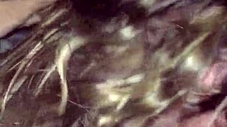 Wife Giving Blowjob To Another Man