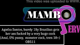 agatha santos takes huge cock anal gape