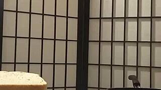 yo, cooking with llamasr after dark gets spicy with banana play