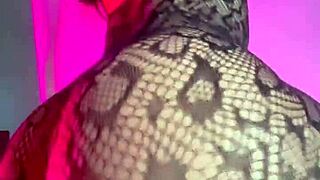 i want to jump on your huge cock and get creamy