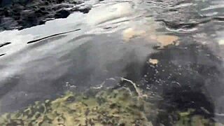 Milf gets her big tits fucked by monster cock outdoors in public POV