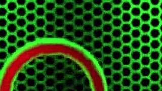 tasha reign sucks james deen's dick