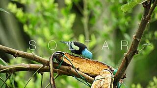 Rekonfiguration - capitulo 3 - learning to let go