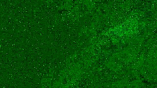 crazy girl 18 yo pees on public beach right in her panties, wets them and goes to sunbathe