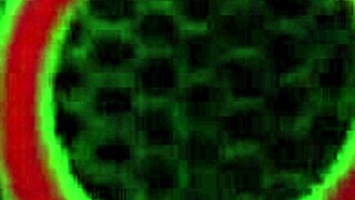 watch sensual sara jay bounce her big tits while fucking a huge dildo?