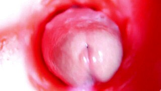 Видели когда-нибудь камеру внутри киски в диком 4K ASMR?