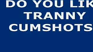 Big shooter ladyboy with contrasting curves