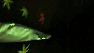 Sucky Sucky BOOBS and TITS in Action