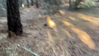 clitlicker662 shares an update with image 1265 from december 12 2024