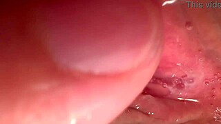 红狐独奏自慰剃光小穴