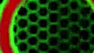 Sara Jay finger fucks her mature pussy.