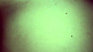 cutie fingering pussy and squirting juices everywhere! 💦