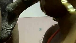 Sloppy blow job from fat black bbw young 18+ milf ebony with wet techniques