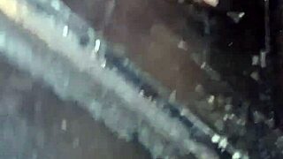 Exploring the house of swing voyeuristically