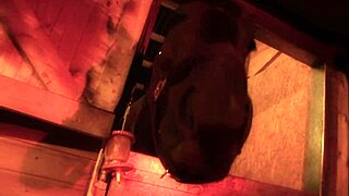 Jodie James Takes Stiff Dick In The Barn!