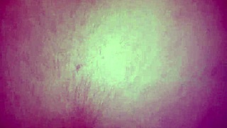 deep anal and creampie session with fingering and gaping